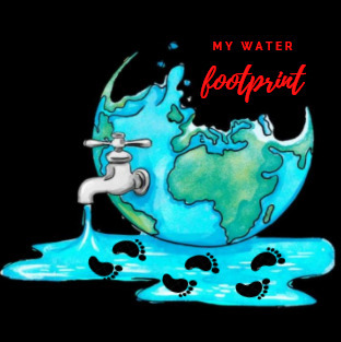 Logo eTwinning project My Water Footprint